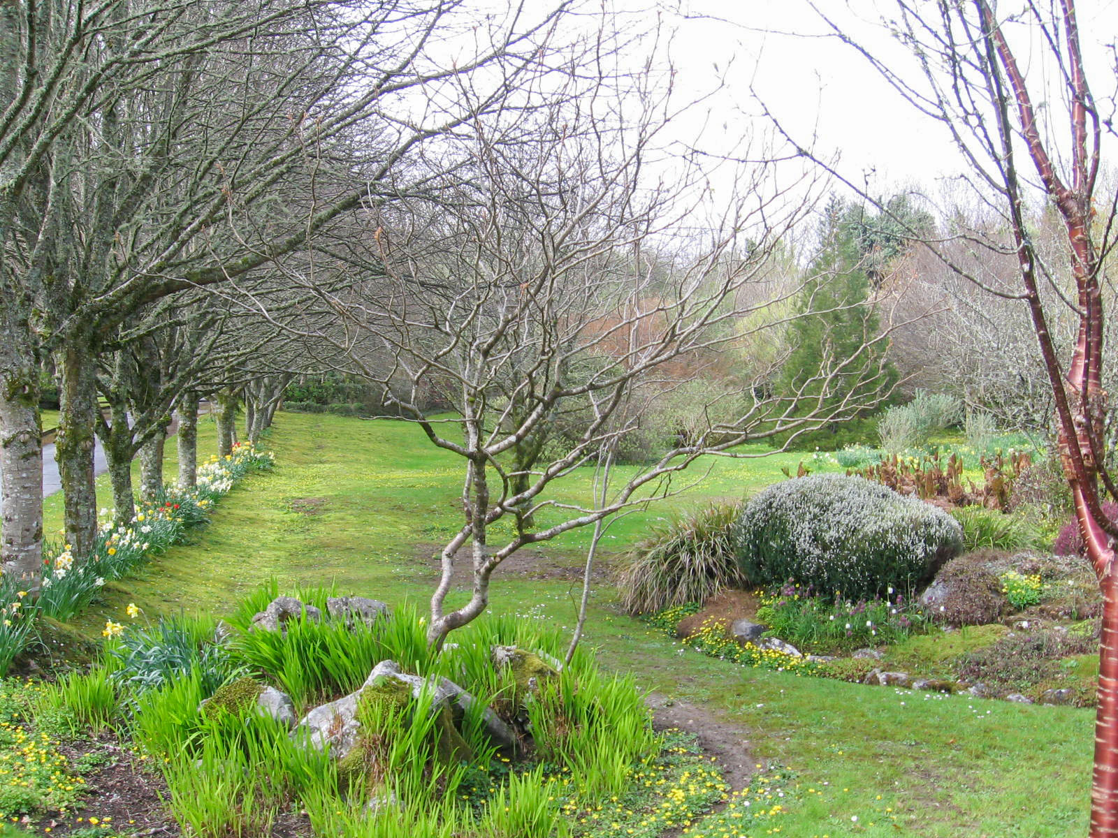 Clare, Gregan's Castle gardens