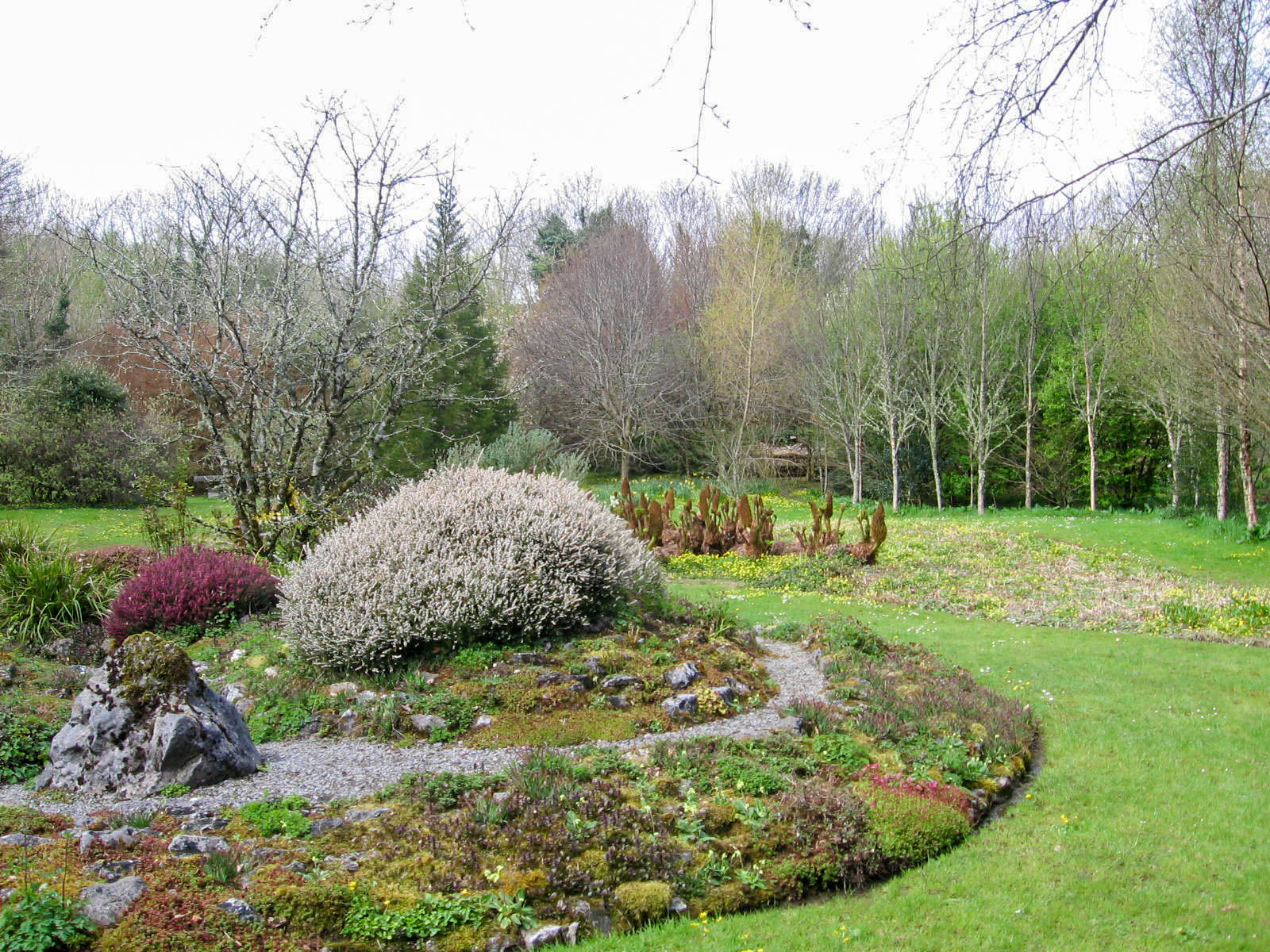 Clare, Gregan's Castle gardens