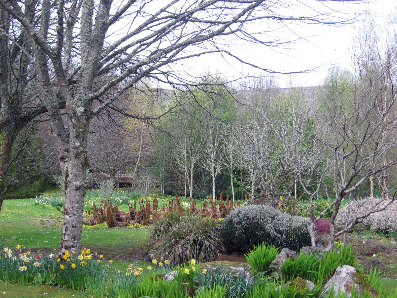 Clare, Gregan's Castle gardens