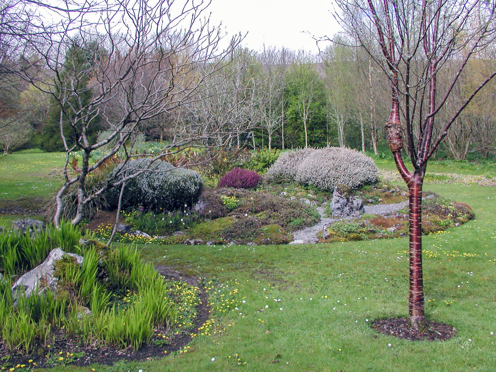 Clare, Gregan's Castle gardens