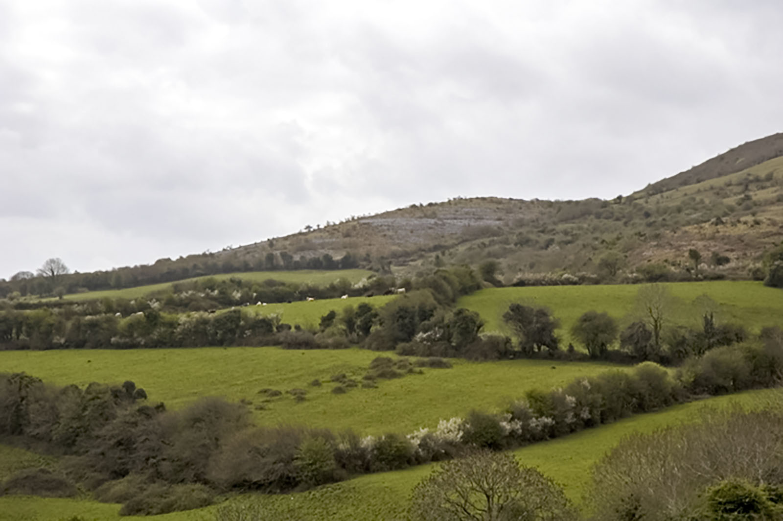 Clare, Kilfenora countryside