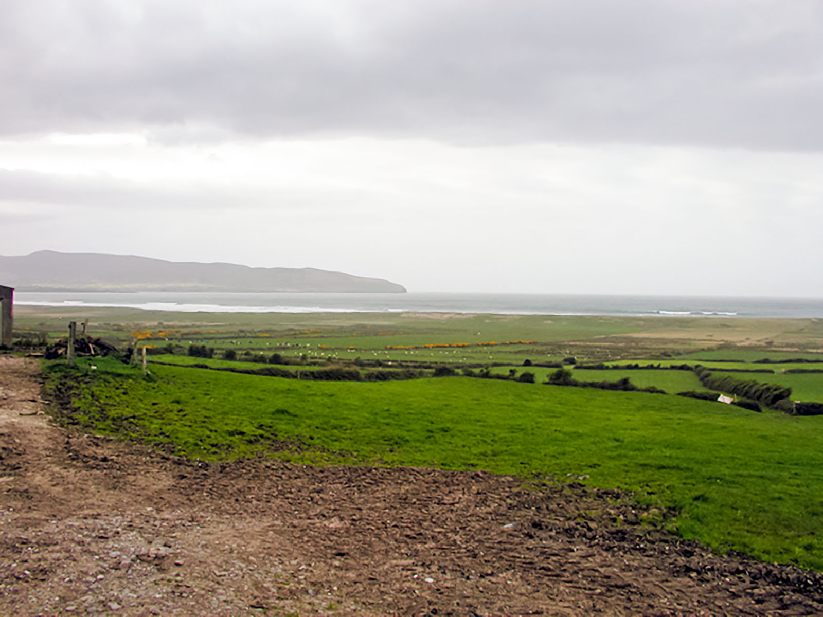 Dingle, Farm near Dingle