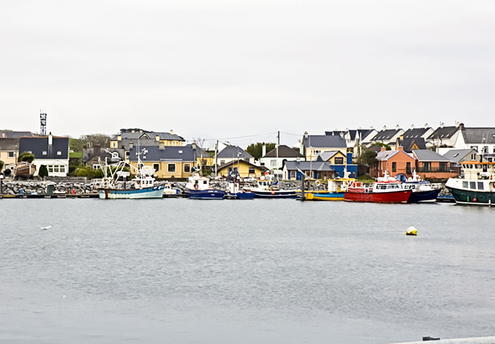 Dingle, Dingle harbor