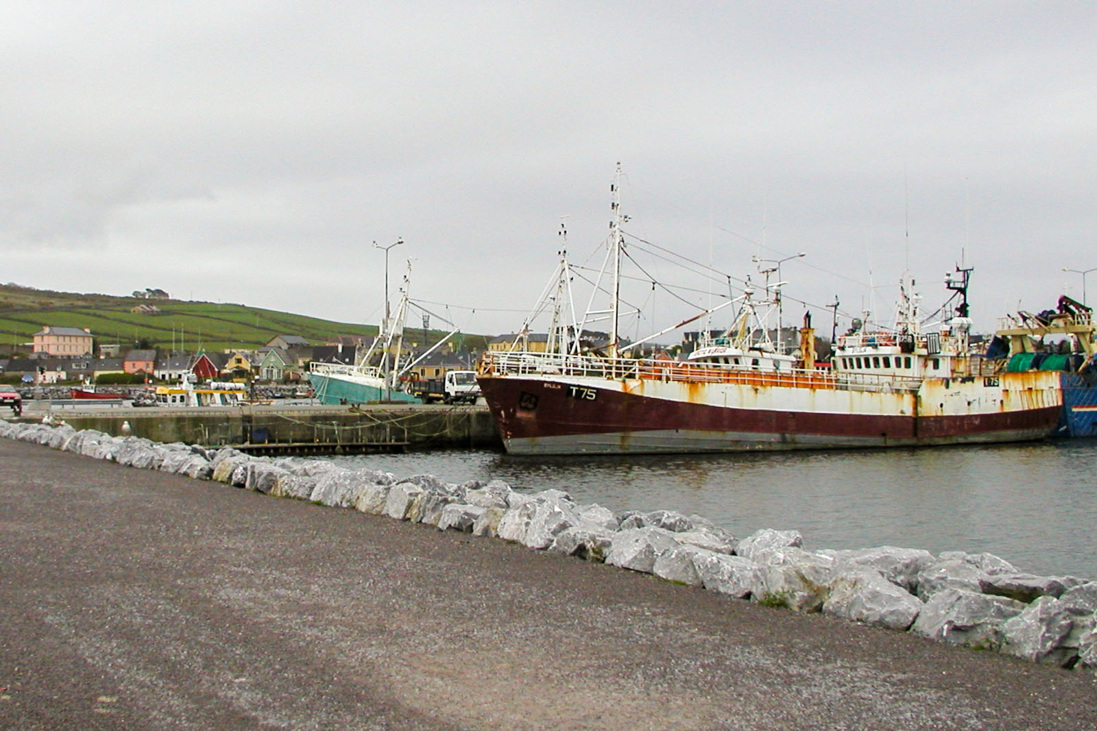 Dingle, Dingle harbor
