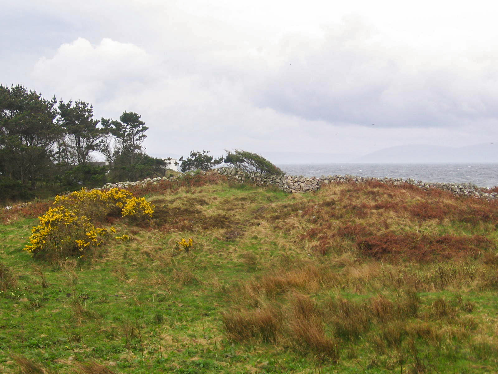 Doolin, Furse, stone walls, and the ocean