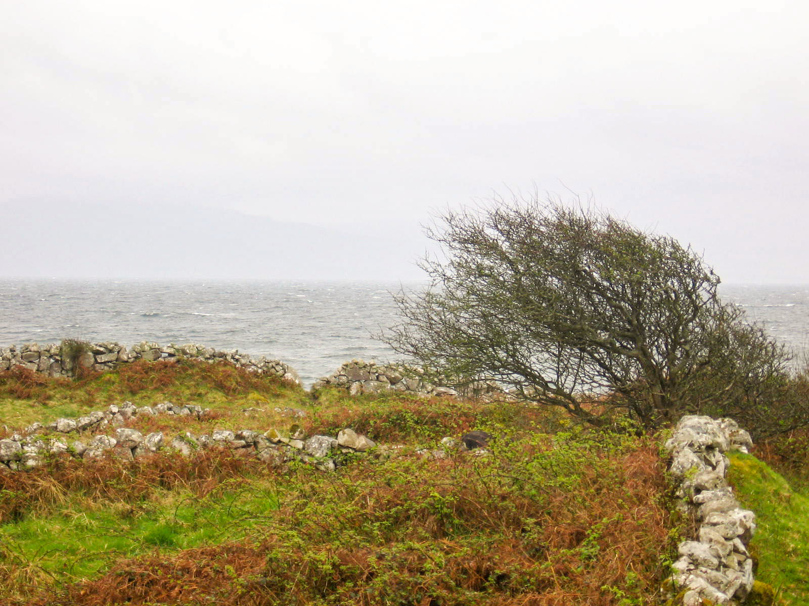 Doolin, Windy vista