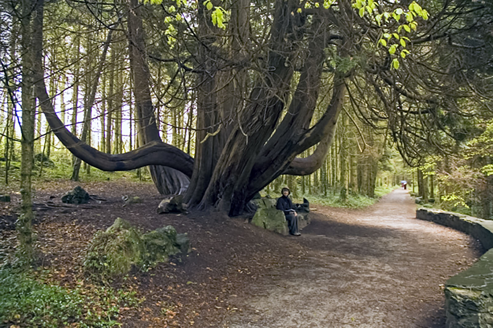 Historic sites, Coole Park