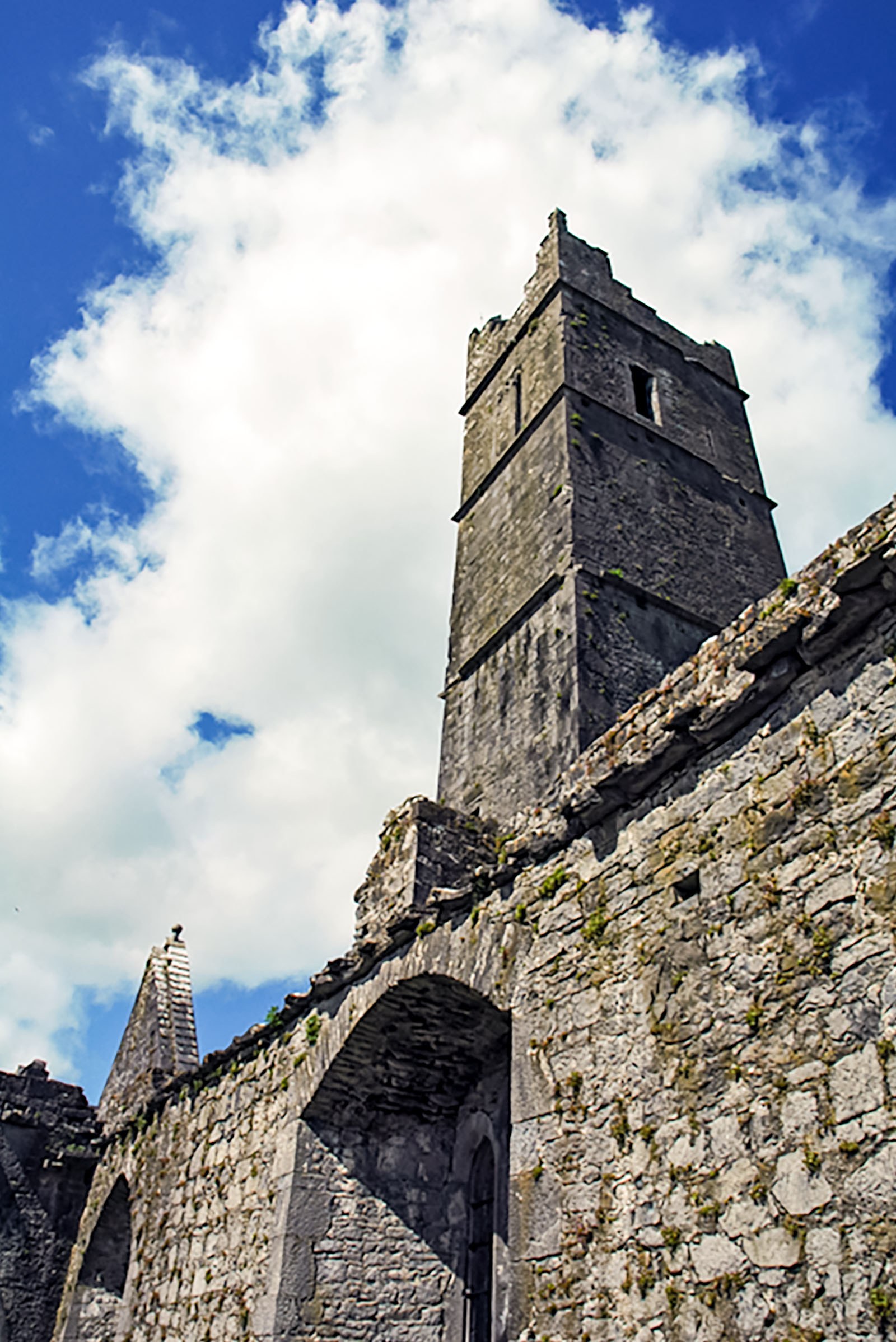 Historic sites, Quin Friary