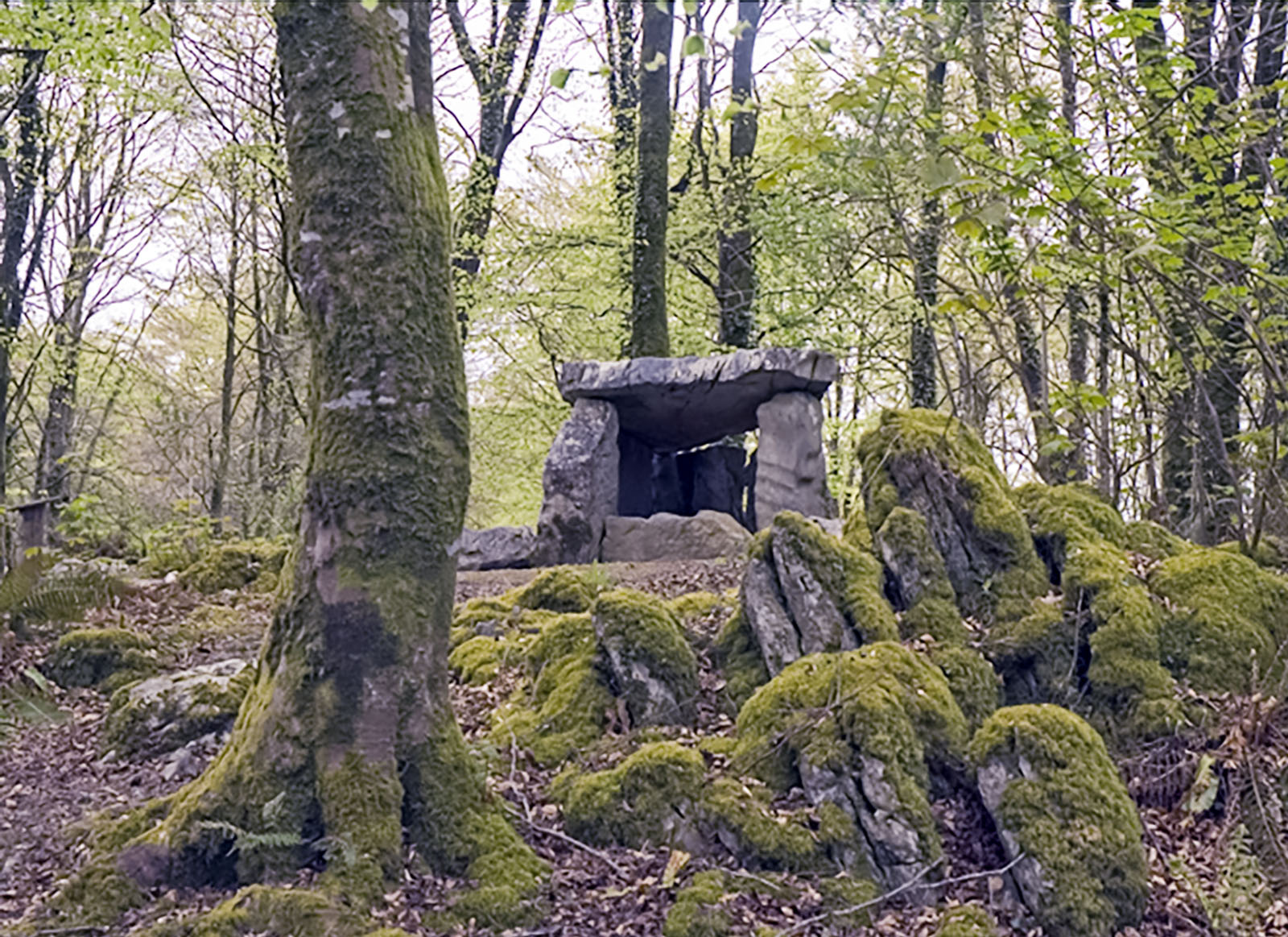 Historic sites, Craggaunowen recreation