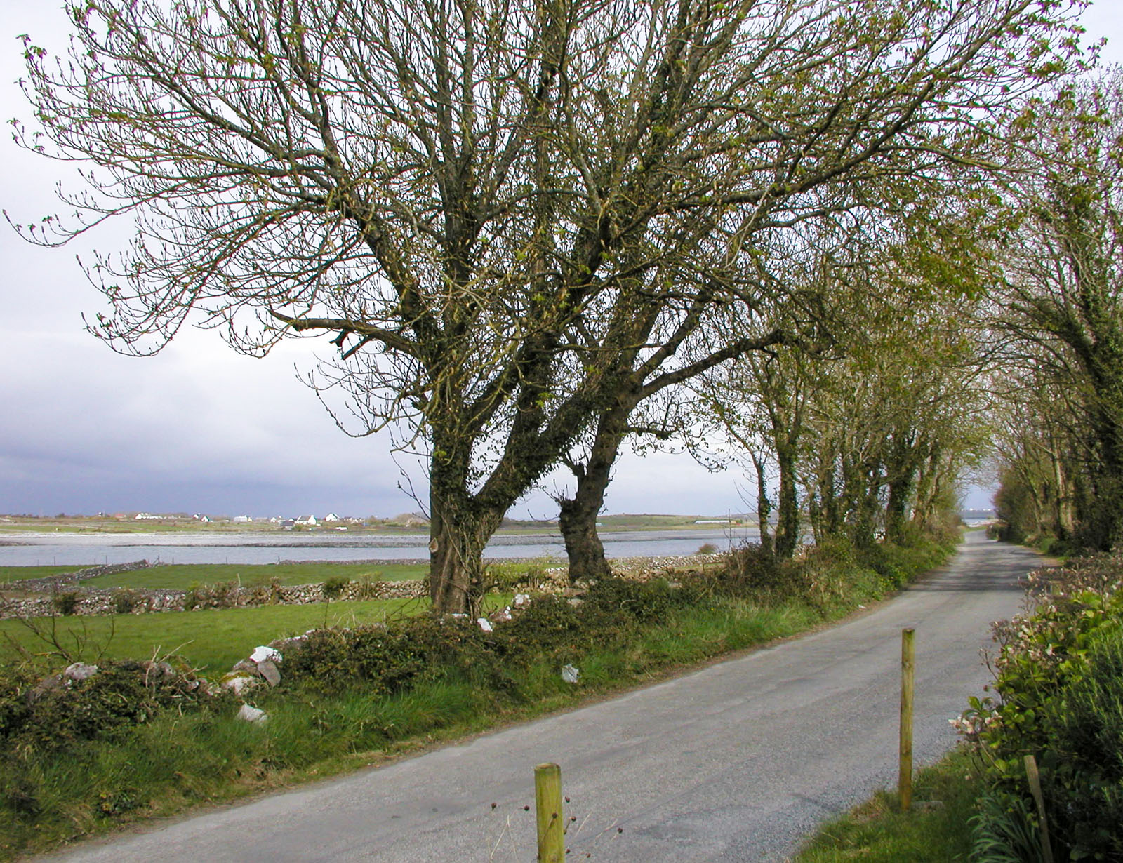 New Quay, The road to Kinvara