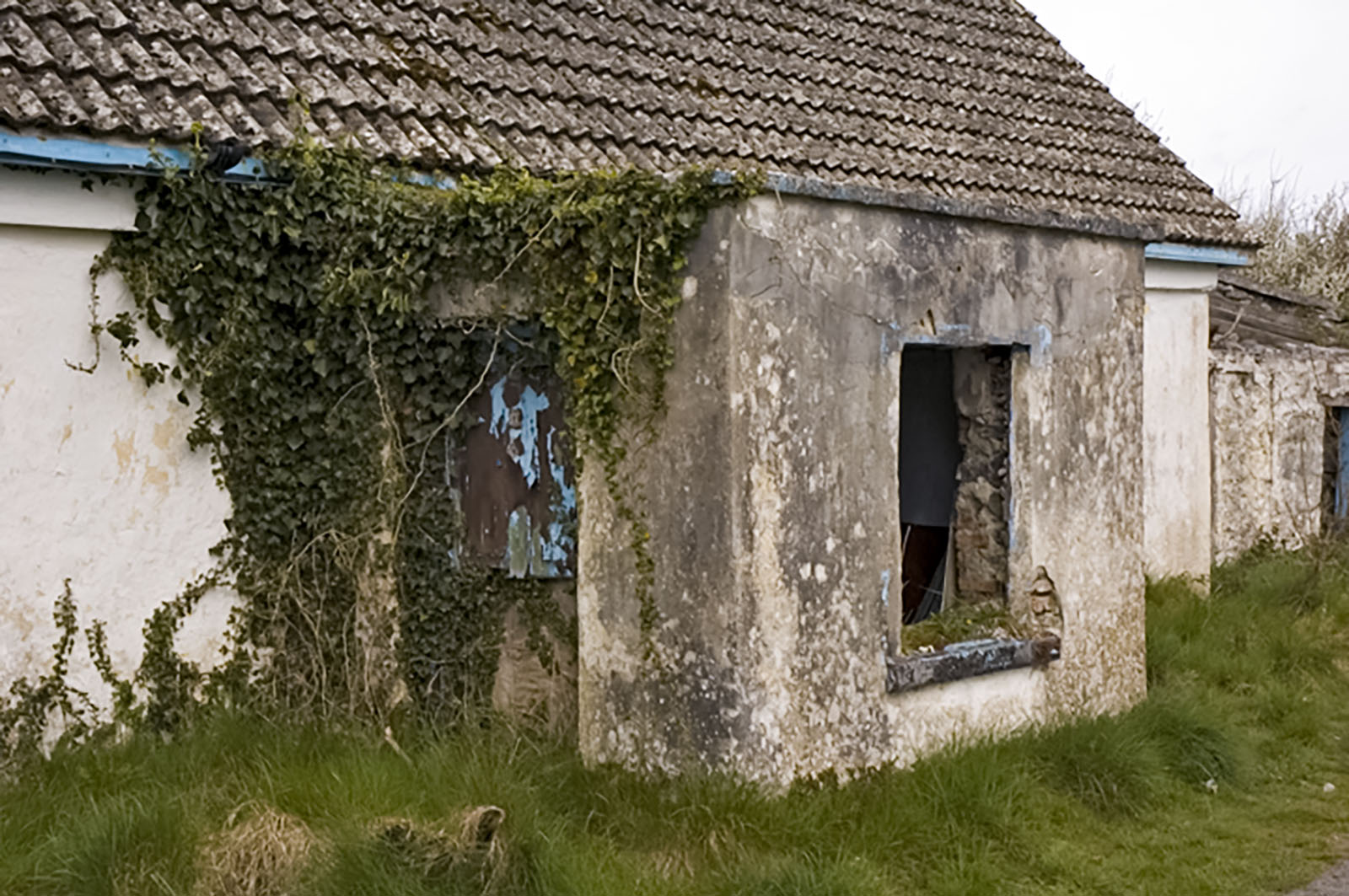 New Quay, Cottage ruin