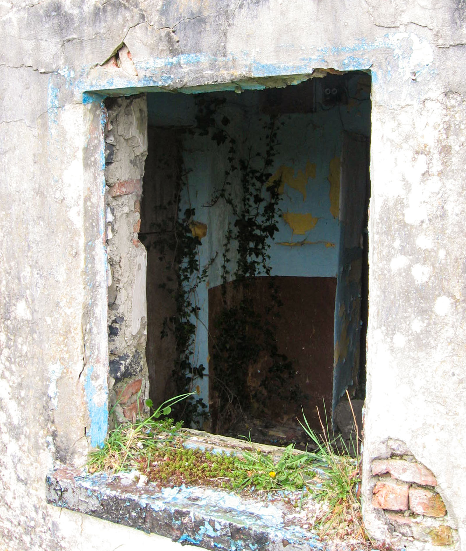 New Quay, Cottage ruin
