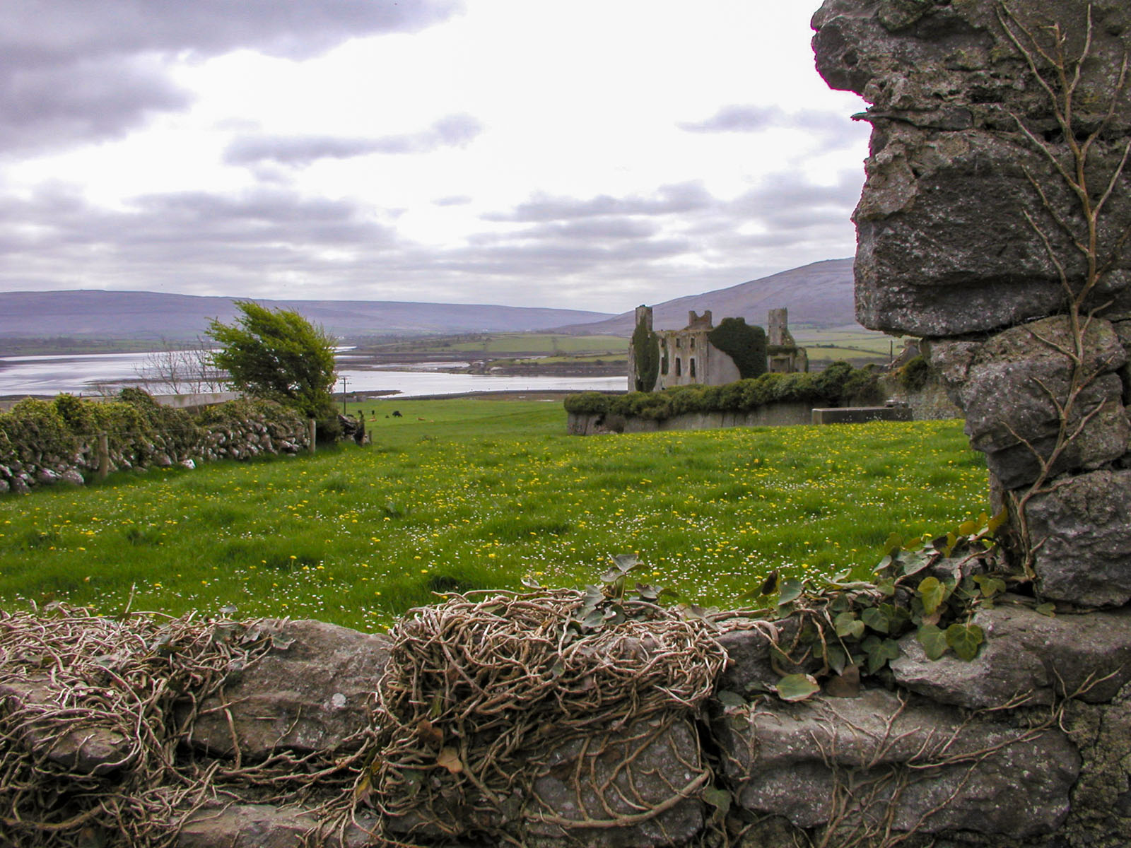 New Quay, Old fort ruin