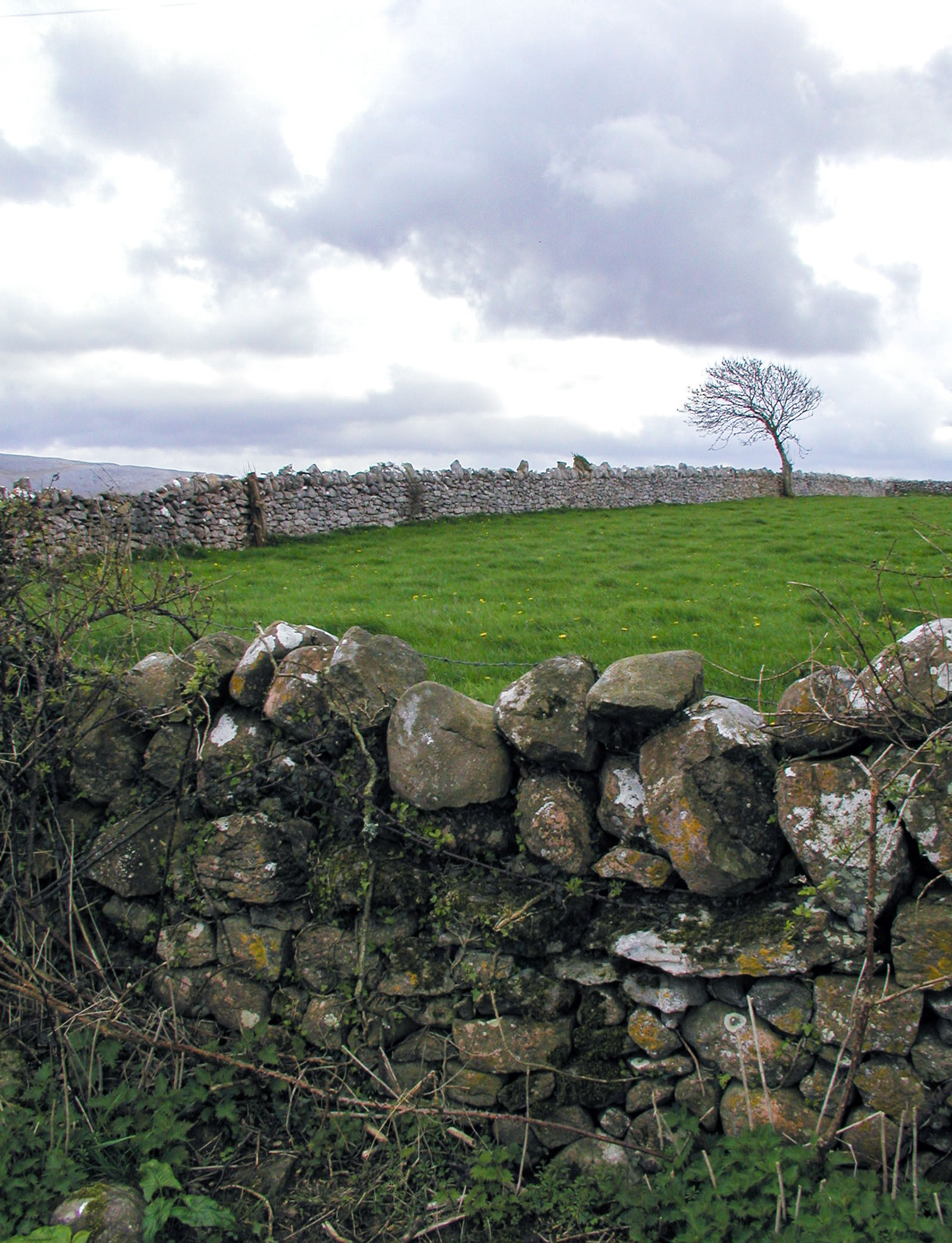 New Quay, Walled pasture