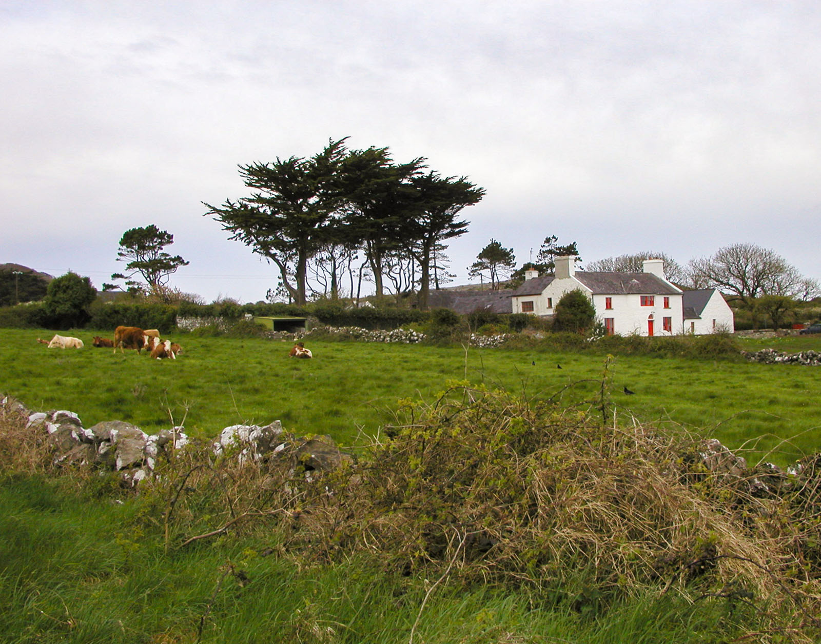 New Quay, Lady Gregory's house