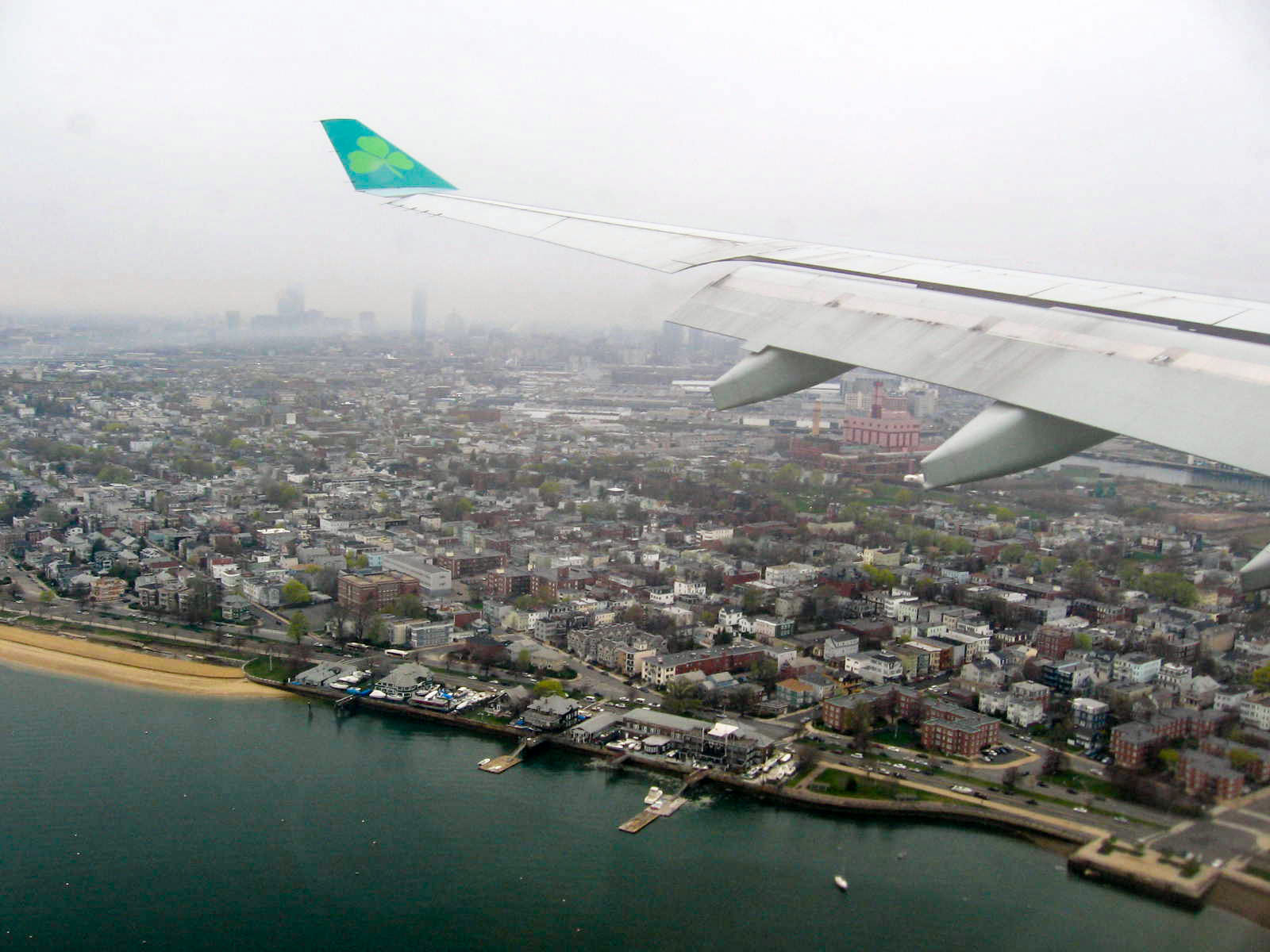 Shannon, Back to America