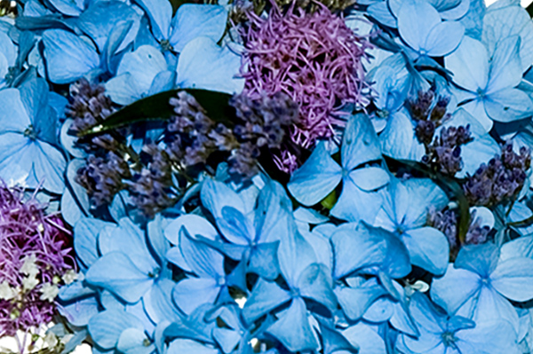 Flowers for a wedding